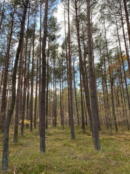 Ferienwohnung Fuer Naturliebhaber ペーネミュンデ エクステリア 写真